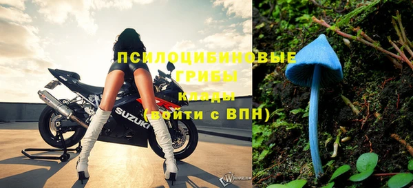 ГАЛЛЮЦИНОГЕННЫЕ ГРИБЫ Пестово