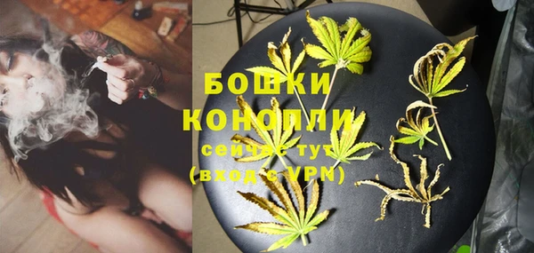 ГАЛЛЮЦИНОГЕННЫЕ ГРИБЫ Пестово